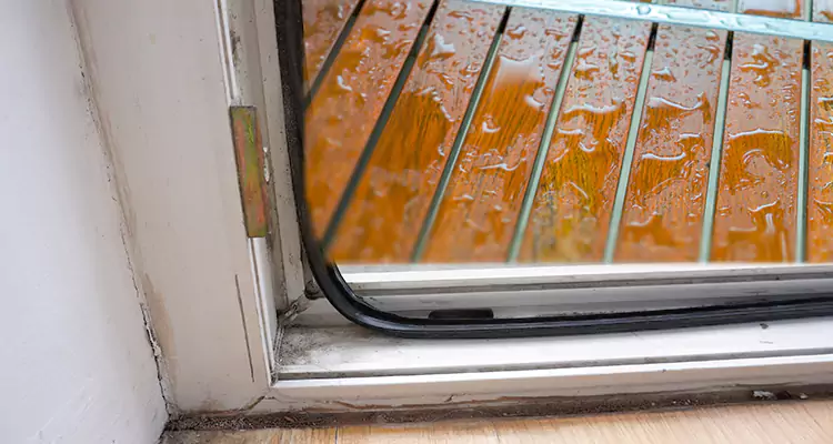 Water Leaking Wooden Patio Doors Repair in Dania Beach, FL