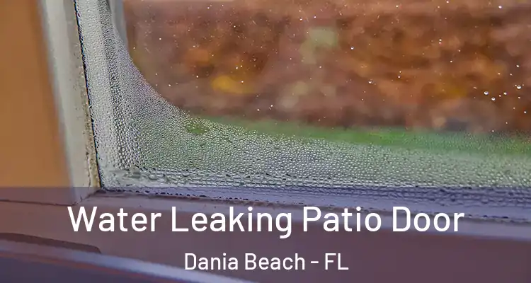Water Leaking Patio Door Dania Beach - FL